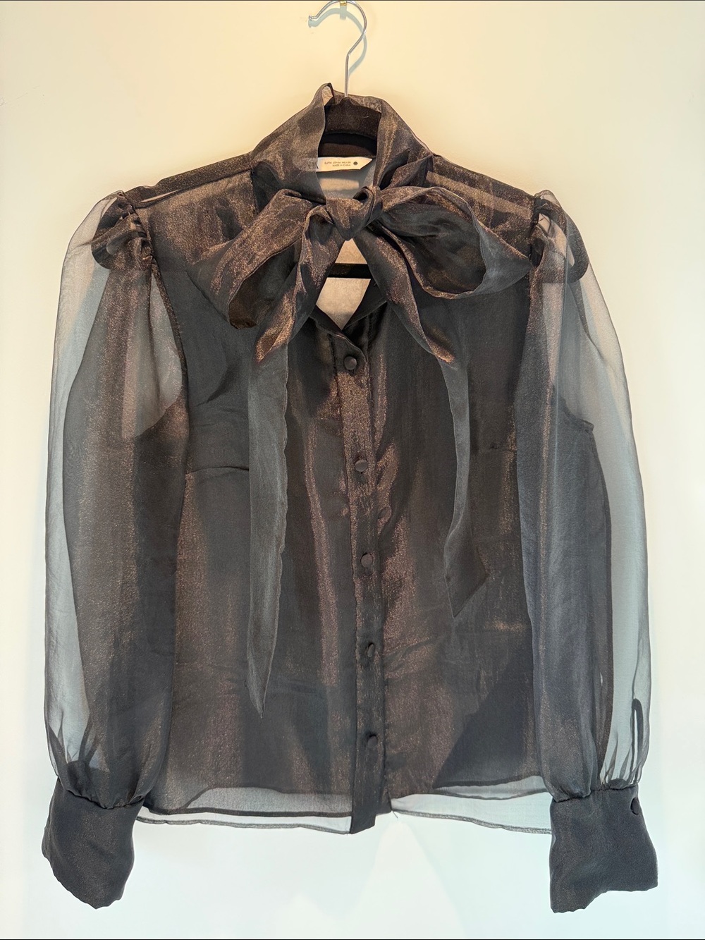 Zara Sheer Bow-Tie Blouse - Black